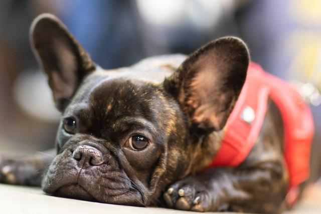 Team building activity